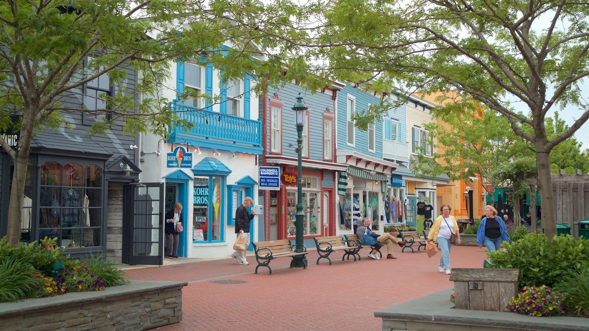 Mid-Island Plaza Area, NJ - Washington Street Mall Tours - Book Now | Expedia