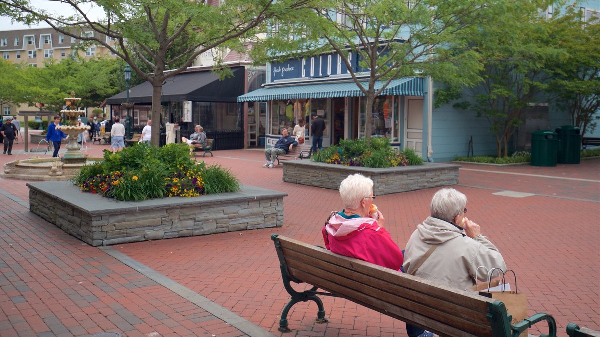 Mid-Island Plaza Area, NJ - Washington Street Mall Tours - Book Now | Expedia